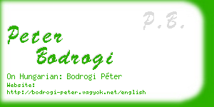 peter bodrogi business card